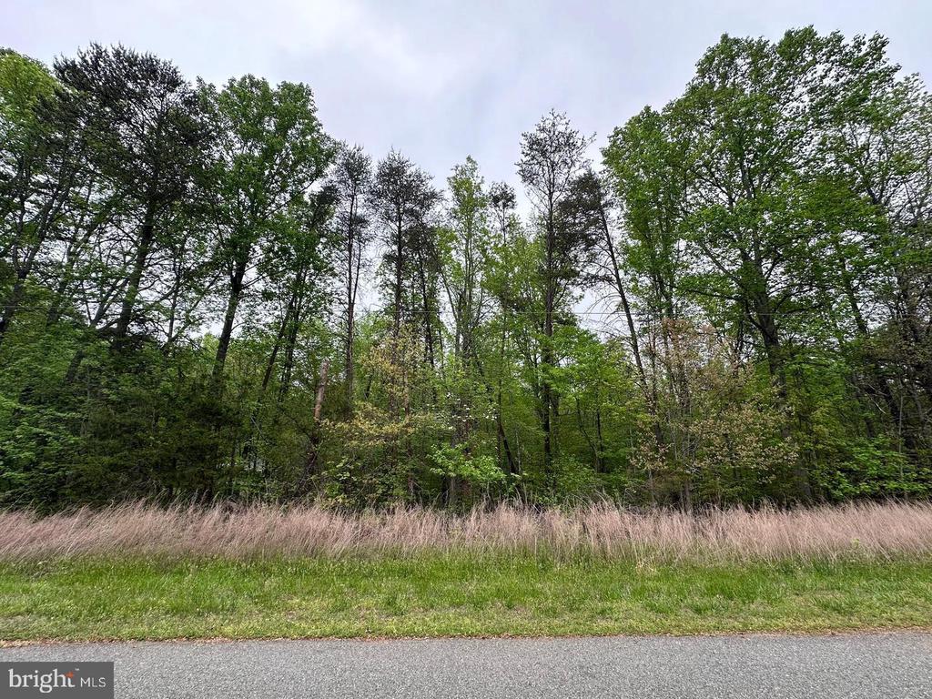 PLUM TREE CIRCLE, BUMPASS, Virginia 23024, ,Land,PLUM TREE CIRCLE,VALA2009522 MLS # VALA2009522