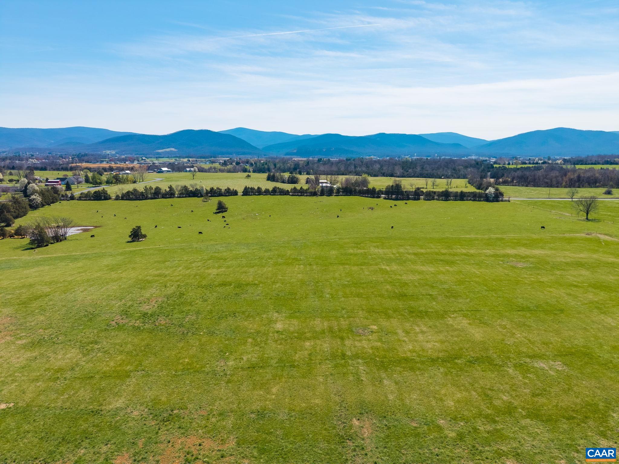 View from the back of the property looking toward the Blue Ridge Mountains.