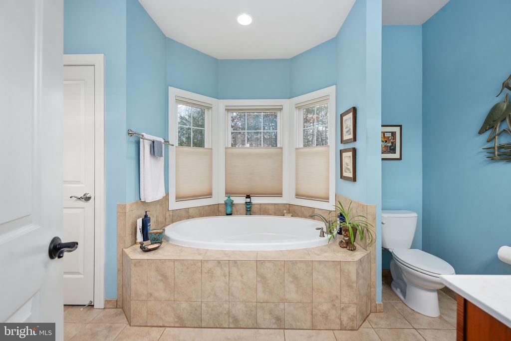 3900 WATER FRONT CT, BUMPASS, Virginia 23024, 3 Bedrooms Bedrooms, ,4 BathroomsBathrooms,Residential,3900 WATER FRONT CT,VASP2039294 MLS # VASP2039294