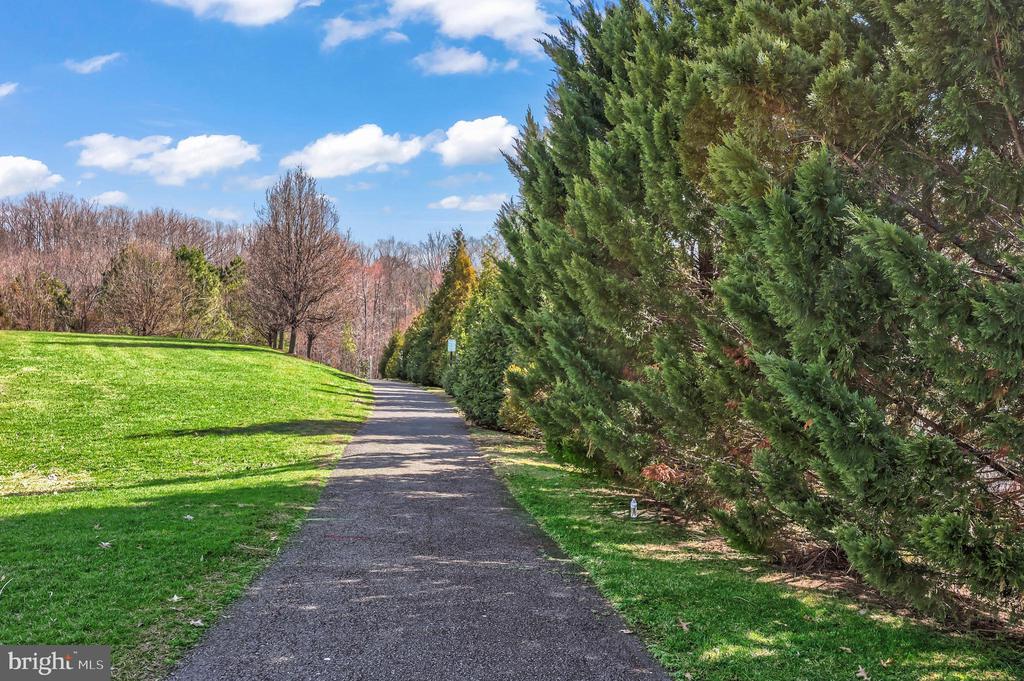 5010 BIRCH LEAF CIR, FREDERICKSBURG, Virginia 22407, 4 Bedrooms Bedrooms, ,4 BathroomsBathrooms,Residential,5010 BIRCH LEAF CIR,VASP2039934 MLS # VASP2039934