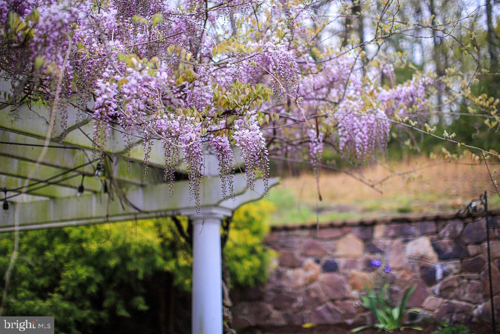 4752 GREENE LOVE LN, MARSHALL, Virginia, 4 Bedrooms Bedrooms, ,3 BathroomsBathrooms,Residential,4752 GREENE LOVE LN,VAFQ2020994 MLS # VAFQ2020994