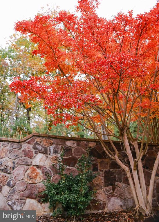 4752 GREENE LOVE LN, MARSHALL, Virginia, 4 Bedrooms Bedrooms, ,3 BathroomsBathrooms,Residential,4752 GREENE LOVE LN,VAFQ2020994 MLS # VAFQ2020994