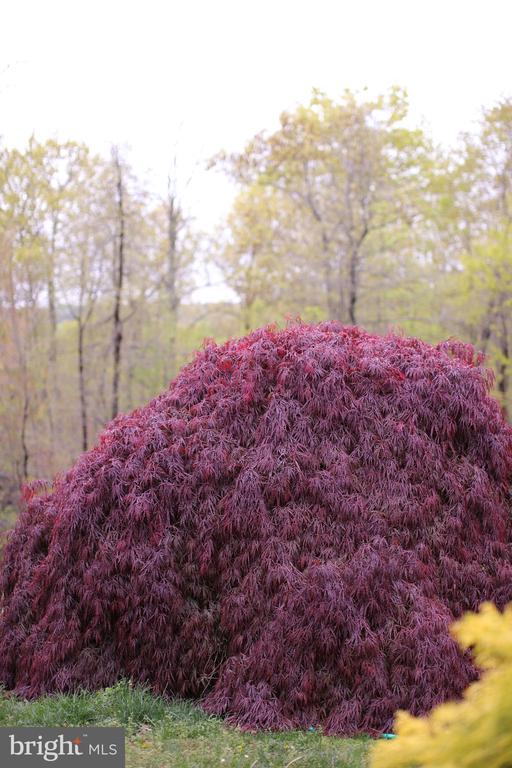 4752 GREENE LOVE LN, MARSHALL, Virginia, 4 Bedrooms Bedrooms, ,3 BathroomsBathrooms,Residential,4752 GREENE LOVE LN,VAFQ2020994 MLS # VAFQ2020994