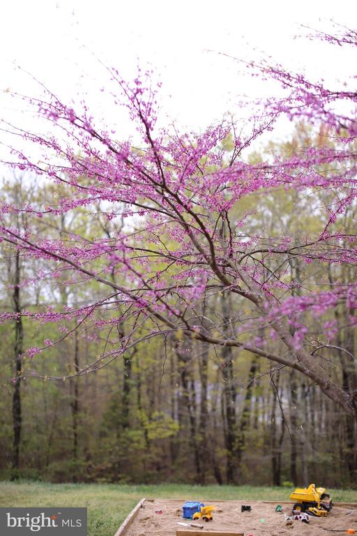 4752 GREENE LOVE LN, MARSHALL, Virginia, 4 Bedrooms Bedrooms, ,3 BathroomsBathrooms,Residential,4752 GREENE LOVE LN,VAFQ2020994 MLS # VAFQ2020994