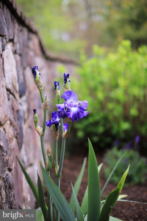 4752 GREENE LOVE LN, MARSHALL, Virginia, 4 Bedrooms Bedrooms, ,3 BathroomsBathrooms,Residential,4752 GREENE LOVE LN,VAFQ2020994 MLS # VAFQ2020994