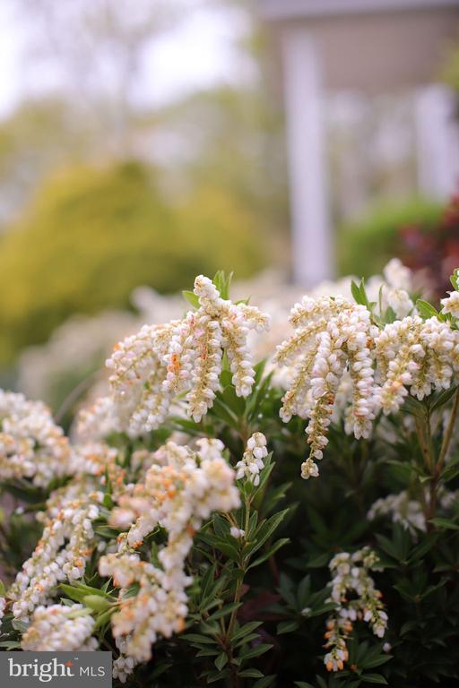 4752 GREENE LOVE LN, MARSHALL, Virginia, 4 Bedrooms Bedrooms, ,3 BathroomsBathrooms,Residential,4752 GREENE LOVE LN,VAFQ2020994 MLS # VAFQ2020994