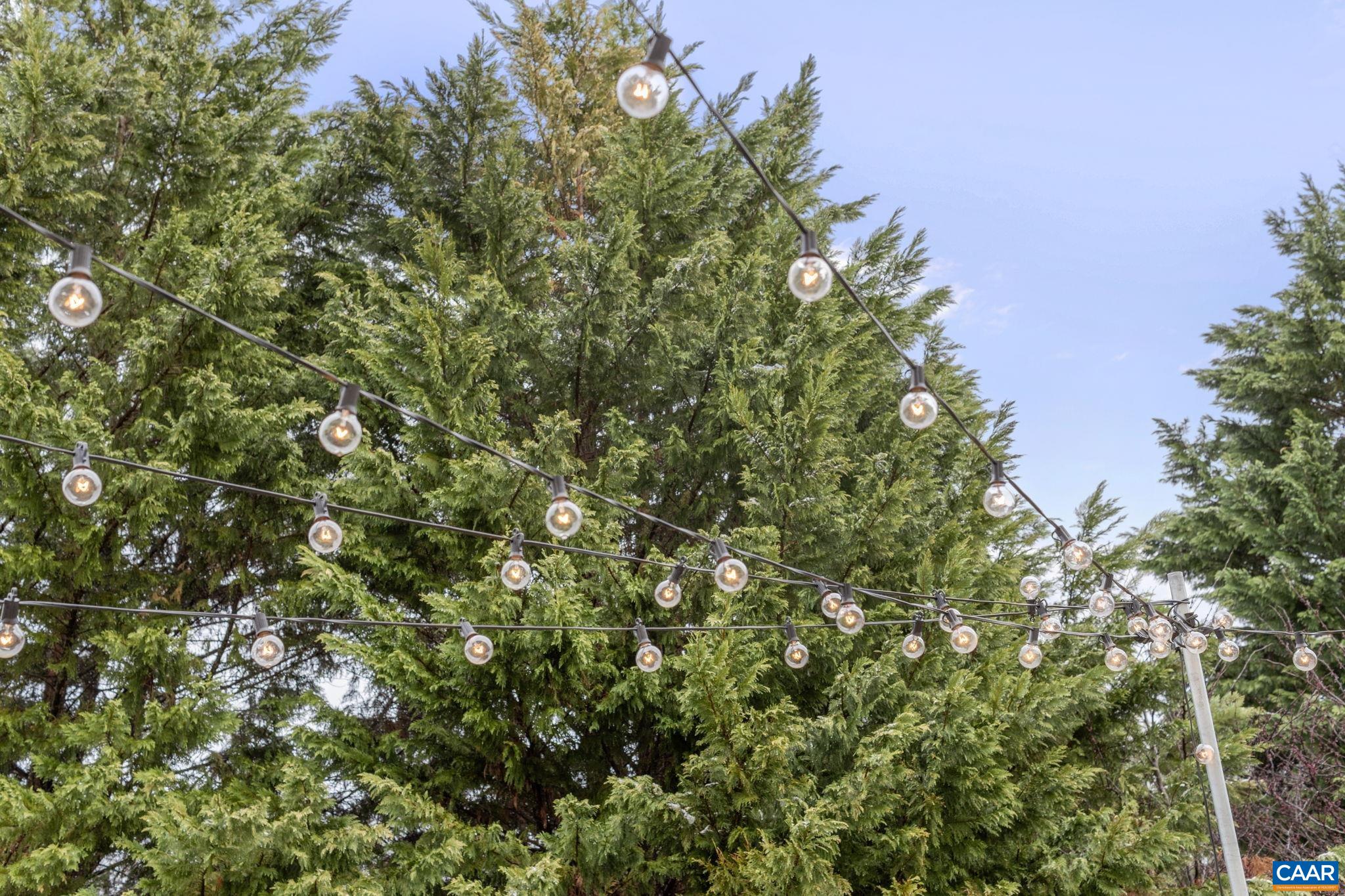 1131 RUSTIC WILLOW LN, CHARLOTTESVILLE, Virginia 22911, 3 Bedrooms Bedrooms, ,2 BathroomsBathrooms,Residential,1131 RUSTIC WILLOW LN,674620 MLS # 674620 1131 RUSTIC WILLOW LN, CHARLOTTESVILLE, Virginia 22911, 3 Bedrooms Bedrooms, ,2 BathroomsBathrooms,Residential,1131 RUSTIC WILLOW LN,674620 MLS # 674620