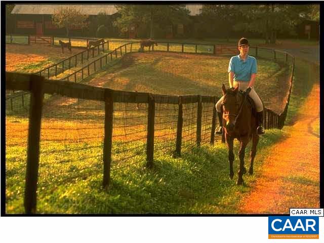 3606 OSPREY DR, KESWICK, Virginia 22947, 4 Bedrooms Bedrooms, ,3 BathroomsBathrooms,Residential,3606 OSPREY DR,674885 MLS # 674885