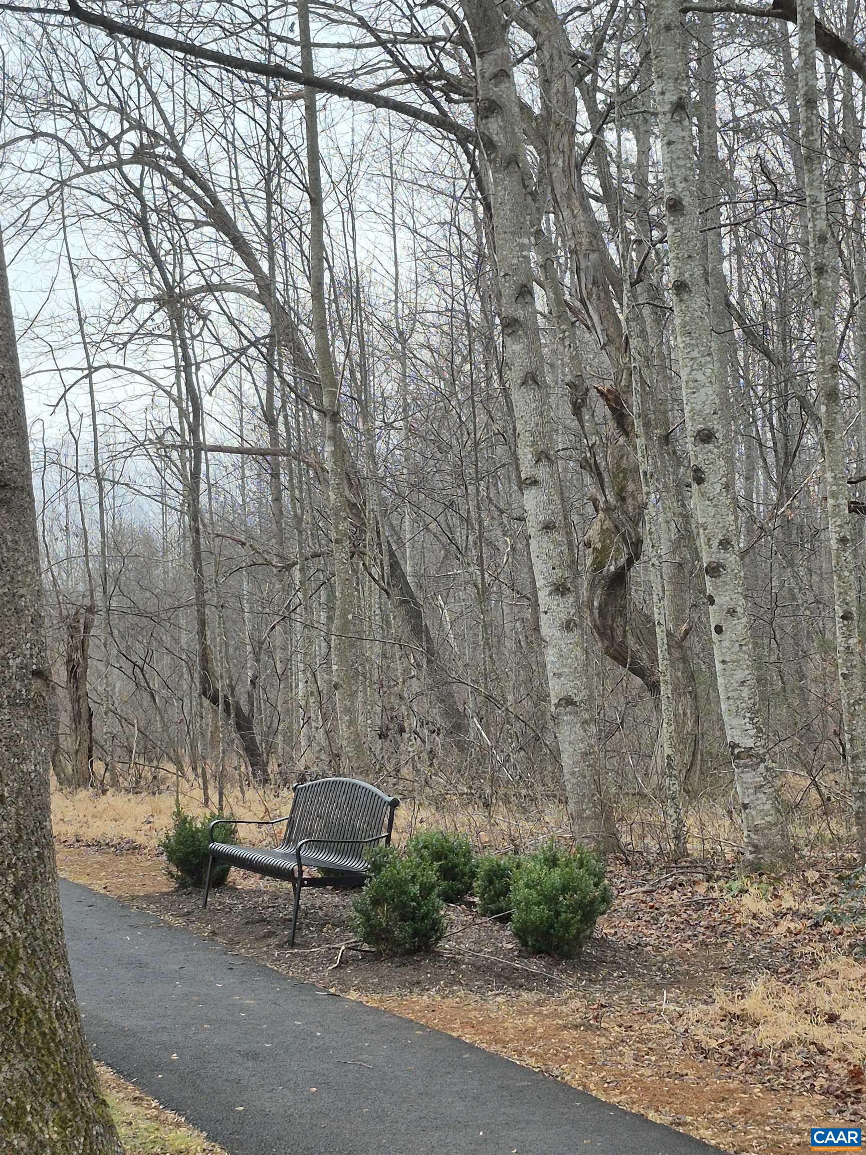 598 MISTLAND TRL, RUCKERSVILLE, Virginia 22968, 3 Bedrooms Bedrooms, ,3 BathroomsBathrooms,Residential,Harriett w/basement,598 MISTLAND TRL,674967 MLS # 674967 598 MISTLAND TRL, RUCKERSVILLE, Virginia 22968, 3 Bedrooms Bedrooms, ,3 BathroomsBathrooms,Residential,Harriett w/basement,598 MISTLAND TRL,674967 MLS # 674967