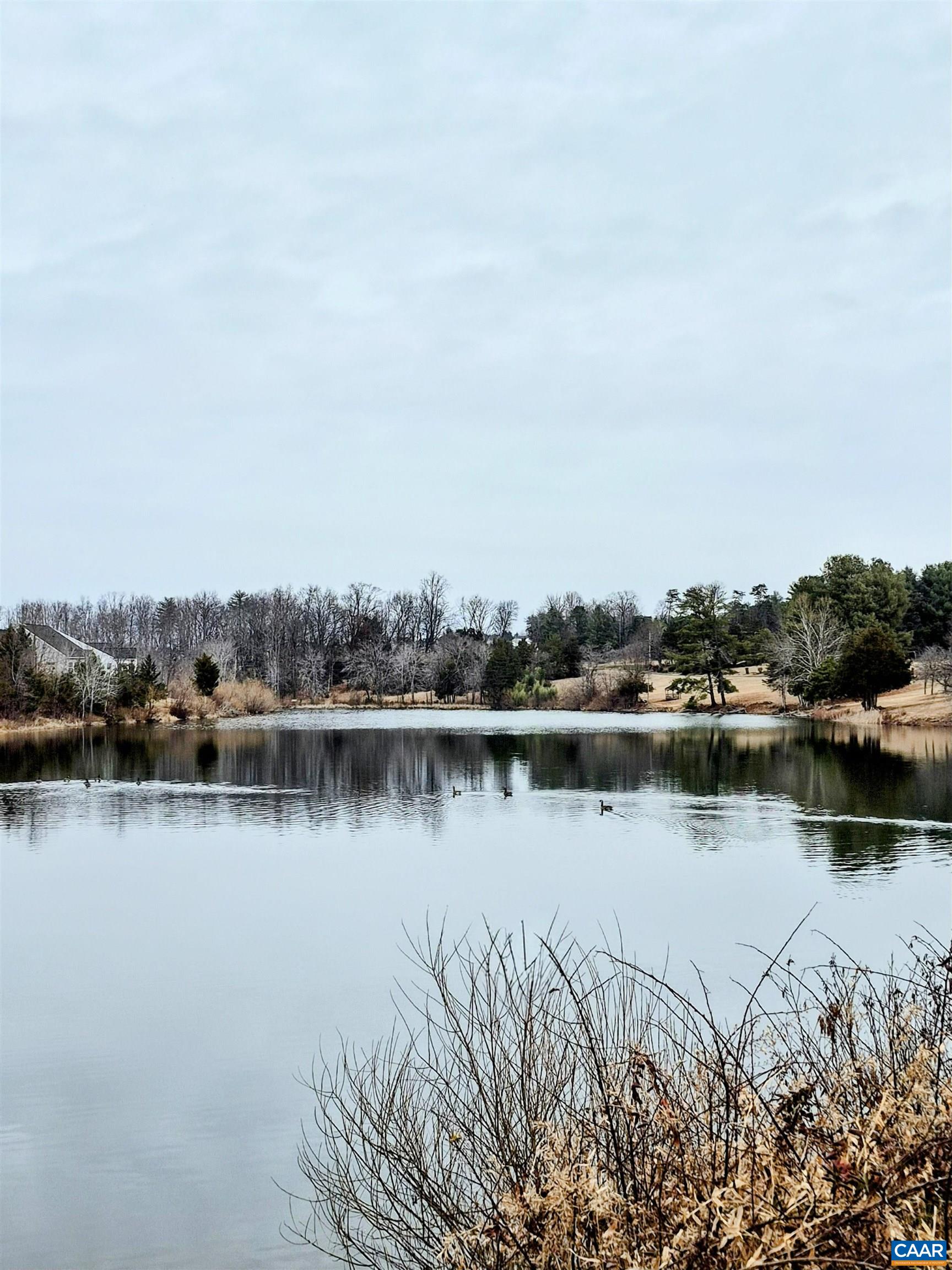 598 MISTLAND TRL, RUCKERSVILLE, Virginia 22968, 3 Bedrooms Bedrooms, ,3 BathroomsBathrooms,Residential,Harriett w/basement,598 MISTLAND TRL,674967 MLS # 674967 598 MISTLAND TRL, RUCKERSVILLE, Virginia 22968, 3 Bedrooms Bedrooms, ,3 BathroomsBathrooms,Residential,Harriett w/basement,598 MISTLAND TRL,674967 MLS # 674967