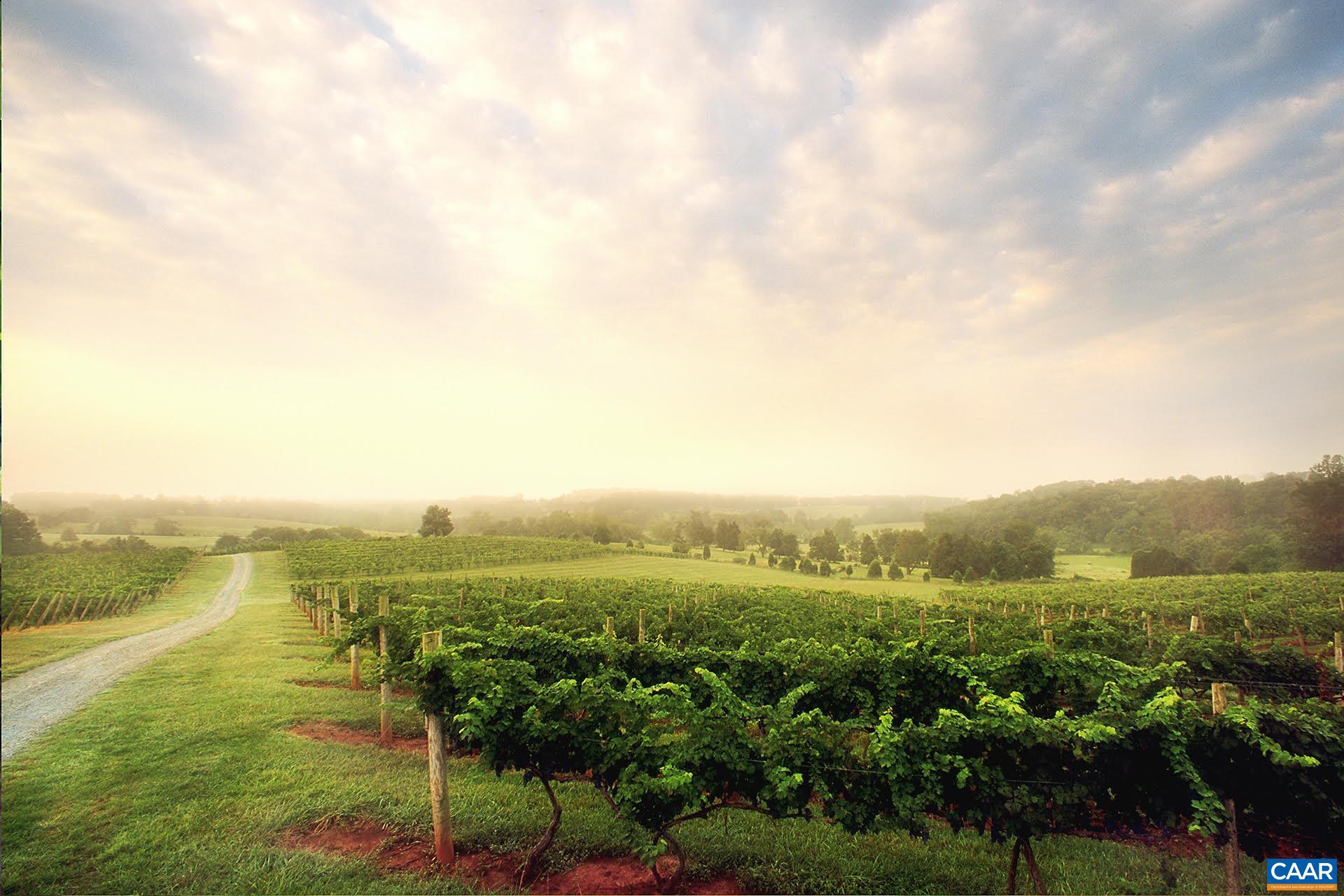 106 BRANDYWINE CT, CHARLOTTESVILLE, Virginia 22901, 3 Bedrooms Bedrooms, ,2 BathroomsBathrooms,Residential,106 BRANDYWINE CT,674976 MLS # 674976