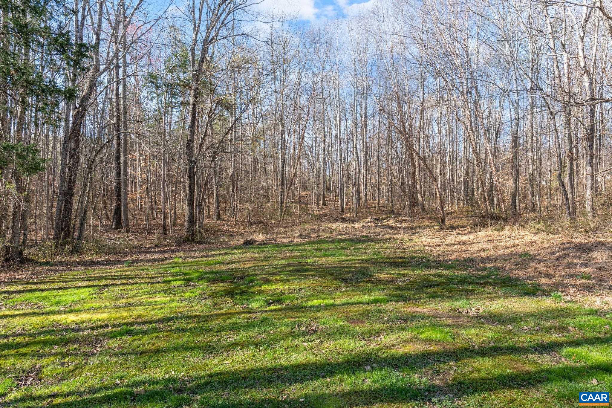 11527 S CONSTITUTION RTE, SCOTTSVILLE, Virginia 24590, 3 Bedrooms Bedrooms, ,2 BathroomsBathrooms,Residential,11527 S CONSTITUTION RTE,674984 MLS # 674984