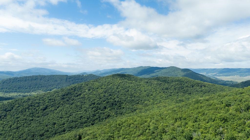 1063 S HIGH VALLEY DR, MONTEREY, Virginia 24465, 2 Bedrooms Bedrooms, ,2 BathroomsBathrooms,Residential,Knight,1063 S HIGH VALLEY DR,674995 MLS # 674995 1063 S HIGH VALLEY DR, MONTEREY, Virginia 24465, 2 Bedrooms Bedrooms, ,2 BathroomsBathrooms,Residential,Knight,1063 S HIGH VALLEY DR,674995 MLS # 674995