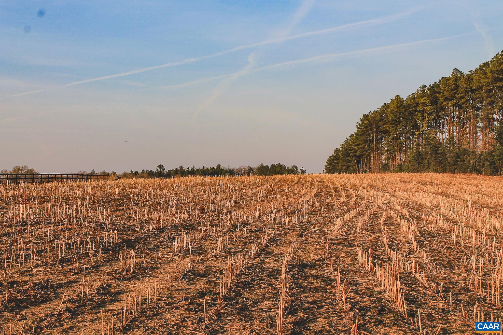 TBD COURTENAY GLEN WAY, CHARLOTTESVILLE, Virginia 22902, ,Land,21 Acres The Farms at Turkey Run,TBD COURTENAY GLEN WAY,675000 MLS # 675000