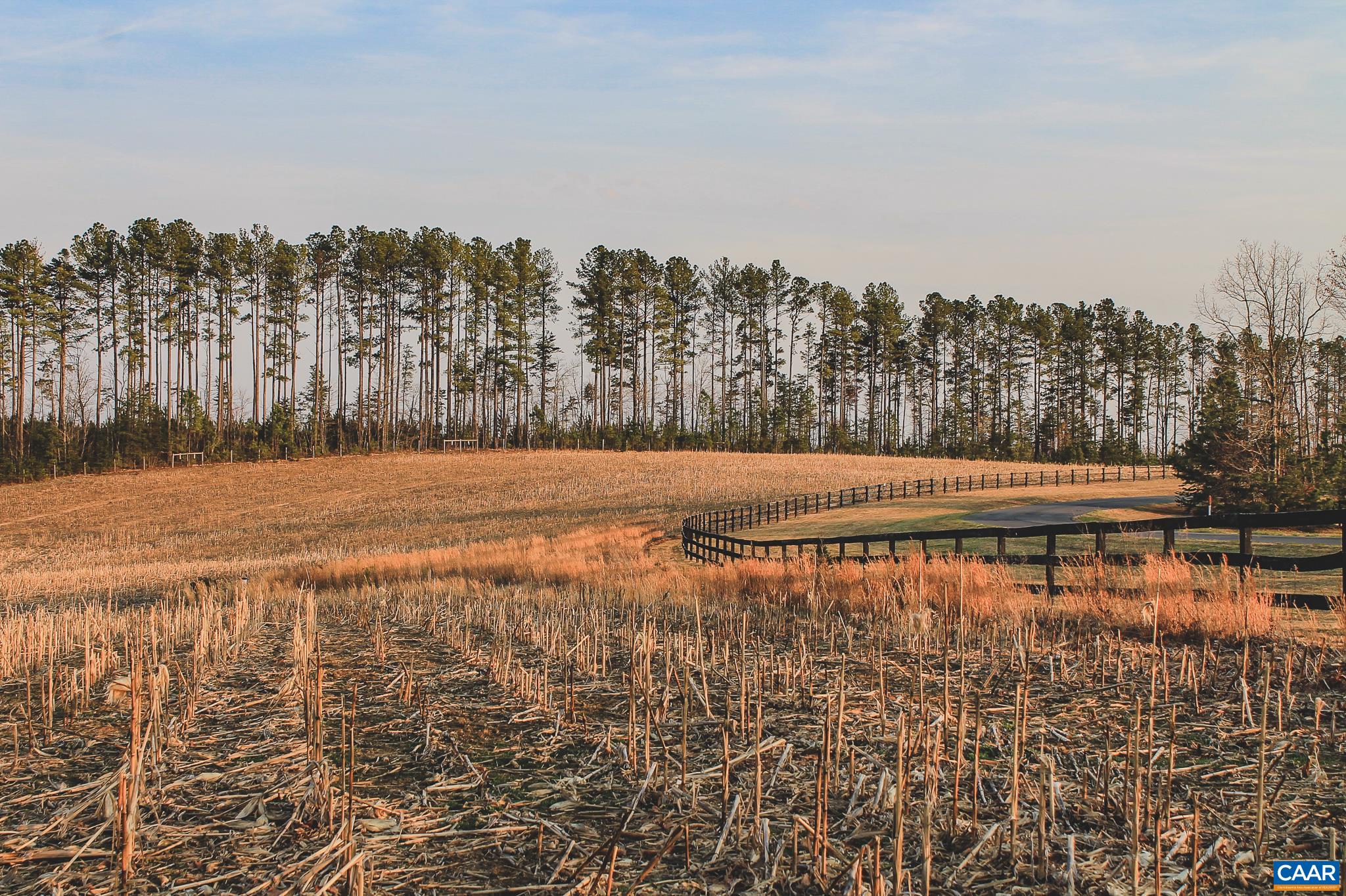 TBD COURTENAY GLEN WAY, CHARLOTTESVILLE, Virginia 22902, ,Land,21 Acres The Farms at Turkey Run,TBD COURTENAY GLEN WAY,675000 MLS # 675000