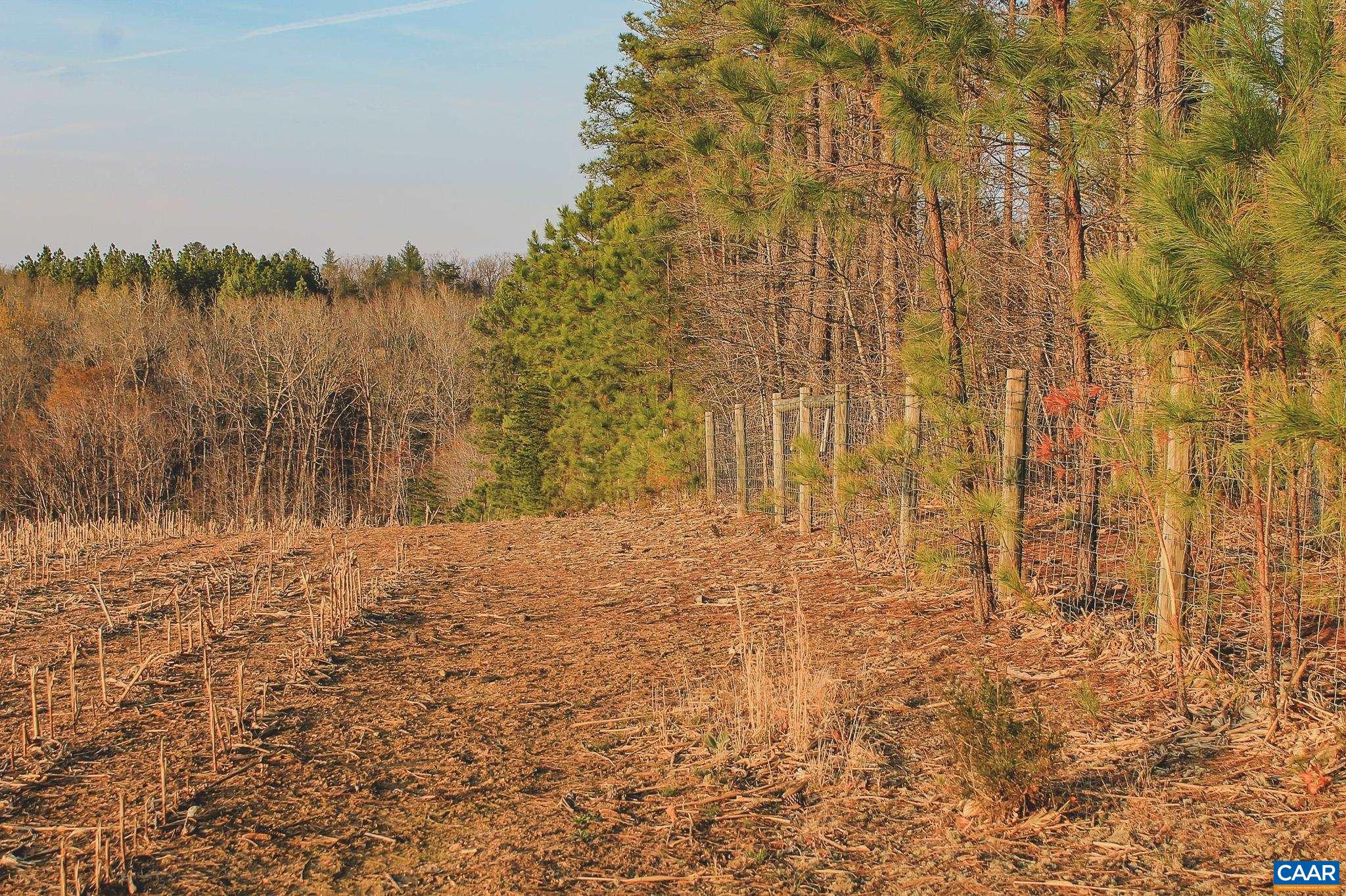 TBD COURTENAY GLEN WAY, CHARLOTTESVILLE, Virginia 22902, ,Land,21 Acres The Farms at Turkey Run,TBD COURTENAY GLEN WAY,675000 MLS # 675000