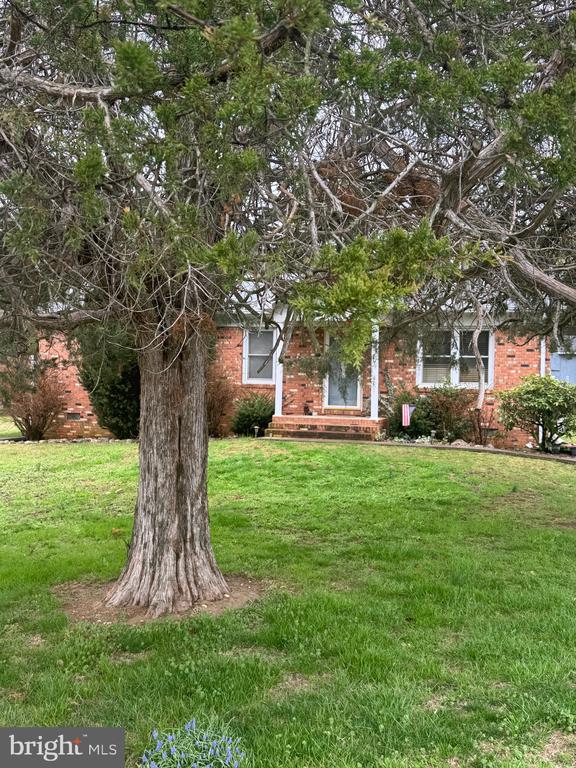 2 MASSANUTTEN PL, LURAY, Virginia 22835, 3 Bedrooms Bedrooms, ,1 BathroomBathrooms,Residential,2 MASSANUTTEN PL,VAPA2006238 MLS # VAPA2006238