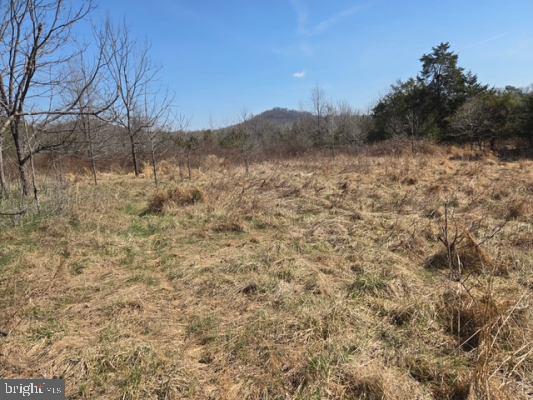 11419 TWIN MOUNTAINS RD, RAPIDAN, Virginia 22733, 4 Bedrooms Bedrooms, ,1 BathroomBathrooms,Residential,11419 TWIN MOUNTAINS RD,VACU2013130 MLS # VACU2013130 11419 TWIN MOUNTAINS RD, RAPIDAN, Virginia 22733, 4 Bedrooms Bedrooms, ,1 BathroomBathrooms,Residential,11419 TWIN MOUNTAINS RD,VACU2013130 MLS # VACU2013130