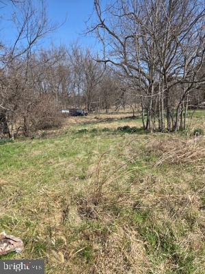 11419 TWIN MOUNTAINS RD, RAPIDAN, Virginia 22733, 4 Bedrooms Bedrooms, ,1 BathroomBathrooms,Residential,11419 TWIN MOUNTAINS RD,VACU2013130 MLS # VACU2013130 11419 TWIN MOUNTAINS RD, RAPIDAN, Virginia 22733, 4 Bedrooms Bedrooms, ,1 BathroomBathrooms,Residential,11419 TWIN MOUNTAINS RD,VACU2013130 MLS # VACU2013130