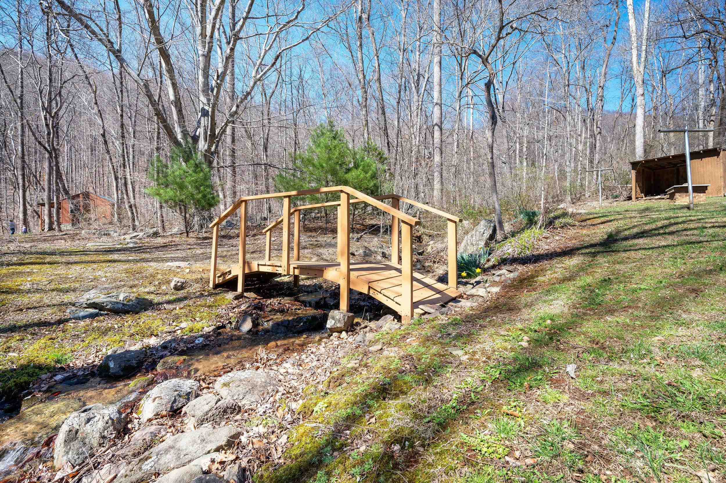 1095 CAMPBELLS MOUNTAIN RD, TYRO, Virginia 22976, 2 Bedrooms Bedrooms, ,1 BathroomBathrooms,Residential,Rare 14.49-Acre Wilderness Sanctuary,1095 CAMPBELLS MOUNTAIN RD,675016 MLS # 675016 1095 CAMPBELLS MOUNTAIN RD, TYRO, Virginia 22976, 2 Bedrooms Bedrooms, ,1 BathroomBathrooms,Residential,Rare 14.49-Acre Wilderness Sanctuary,1095 CAMPBELLS MOUNTAIN RD,675016 MLS # 675016