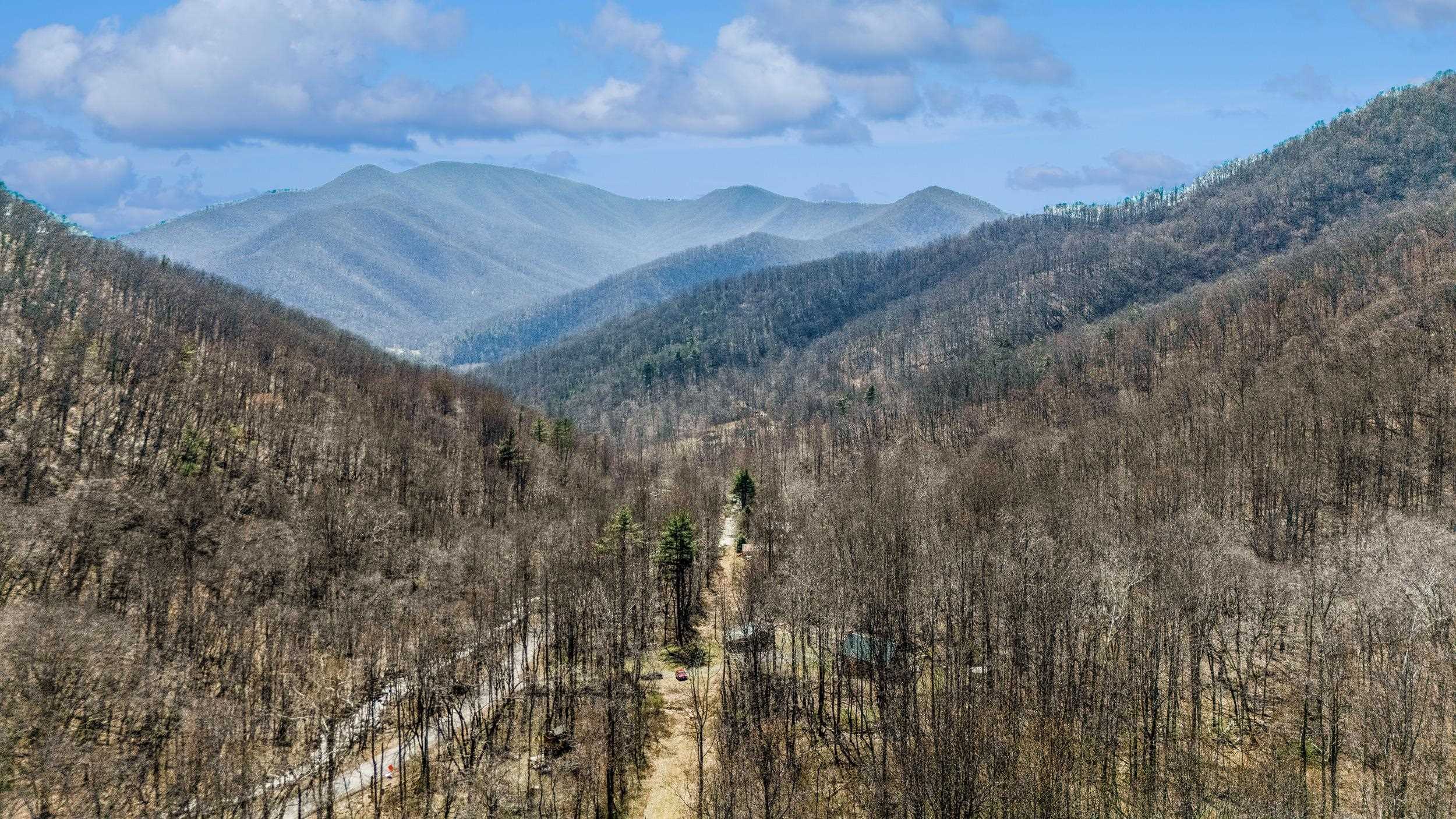 1095 CAMPBELLS MOUNTAIN RD, TYRO, Virginia 22976, 2 Bedrooms Bedrooms, ,1 BathroomBathrooms,Residential,Rare 14.49-Acre Wilderness Sanctuary,1095 CAMPBELLS MOUNTAIN RD,675016 MLS # 675016 1095 CAMPBELLS MOUNTAIN RD, TYRO, Virginia 22976, 2 Bedrooms Bedrooms, ,1 BathroomBathrooms,Residential,Rare 14.49-Acre Wilderness Sanctuary,1095 CAMPBELLS MOUNTAIN RD,675016 MLS # 675016