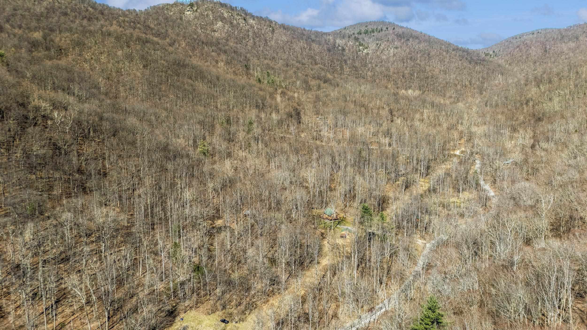 1095 CAMPBELLS MOUNTAIN RD, TYRO, Virginia 22976, 2 Bedrooms Bedrooms, ,1 BathroomBathrooms,Residential,Rare 14.49-Acre Wilderness Sanctuary,1095 CAMPBELLS MOUNTAIN RD,675016 MLS # 675016 1095 CAMPBELLS MOUNTAIN RD, TYRO, Virginia 22976, 2 Bedrooms Bedrooms, ,1 BathroomBathrooms,Residential,Rare 14.49-Acre Wilderness Sanctuary,1095 CAMPBELLS MOUNTAIN RD,675016 MLS # 675016