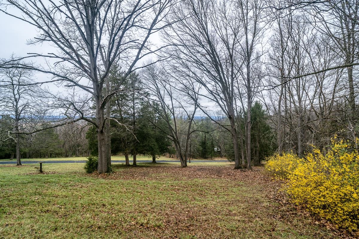 188 NEW MARKET RESERVOIR RD, NEW MARKET, Virginia 22844, 3 Bedrooms Bedrooms, ,2 BathroomsBathrooms,Residential,188 NEW MARKET RESERVOIR RD,675020 MLS # 675020