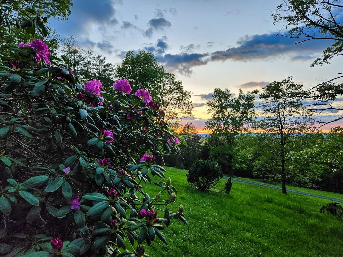 188 NEW MARKET RESERVOIR RD, NEW MARKET, Virginia 22844, 3 Bedrooms Bedrooms, ,2 BathroomsBathrooms,Residential,188 NEW MARKET RESERVOIR RD,675020 MLS # 675020