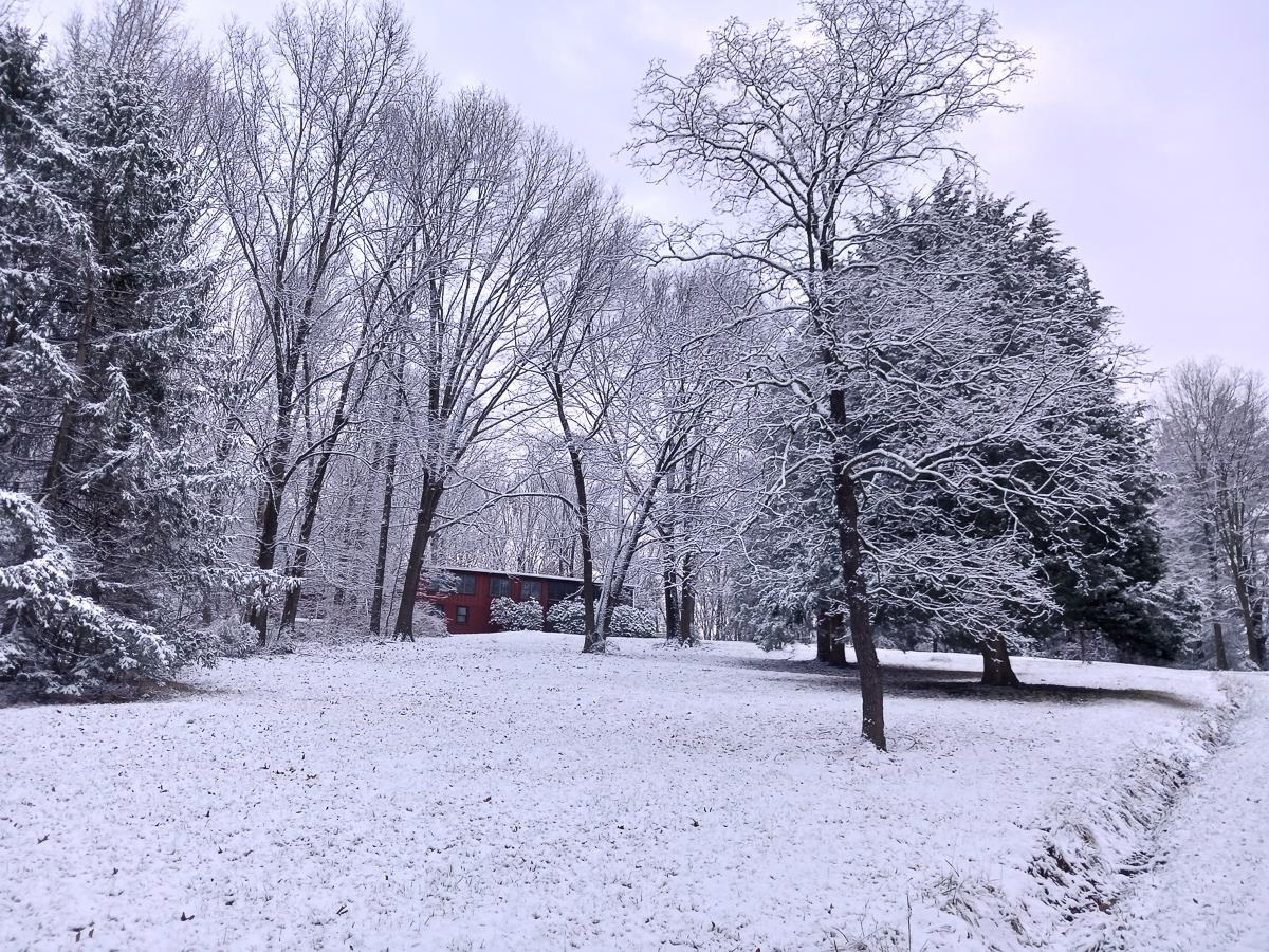 Winter's Embrace: A Snowy Retreat
