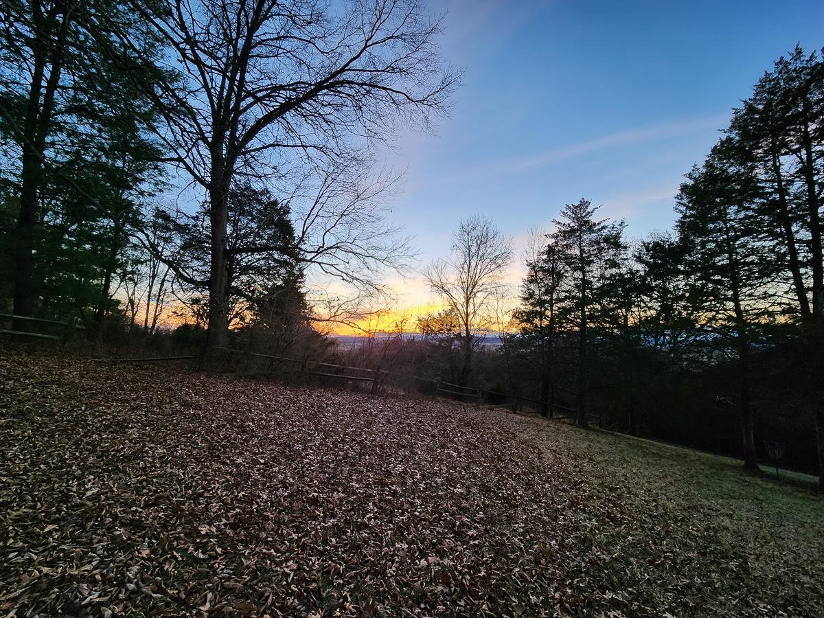 Serene sunset over autumn leaves.