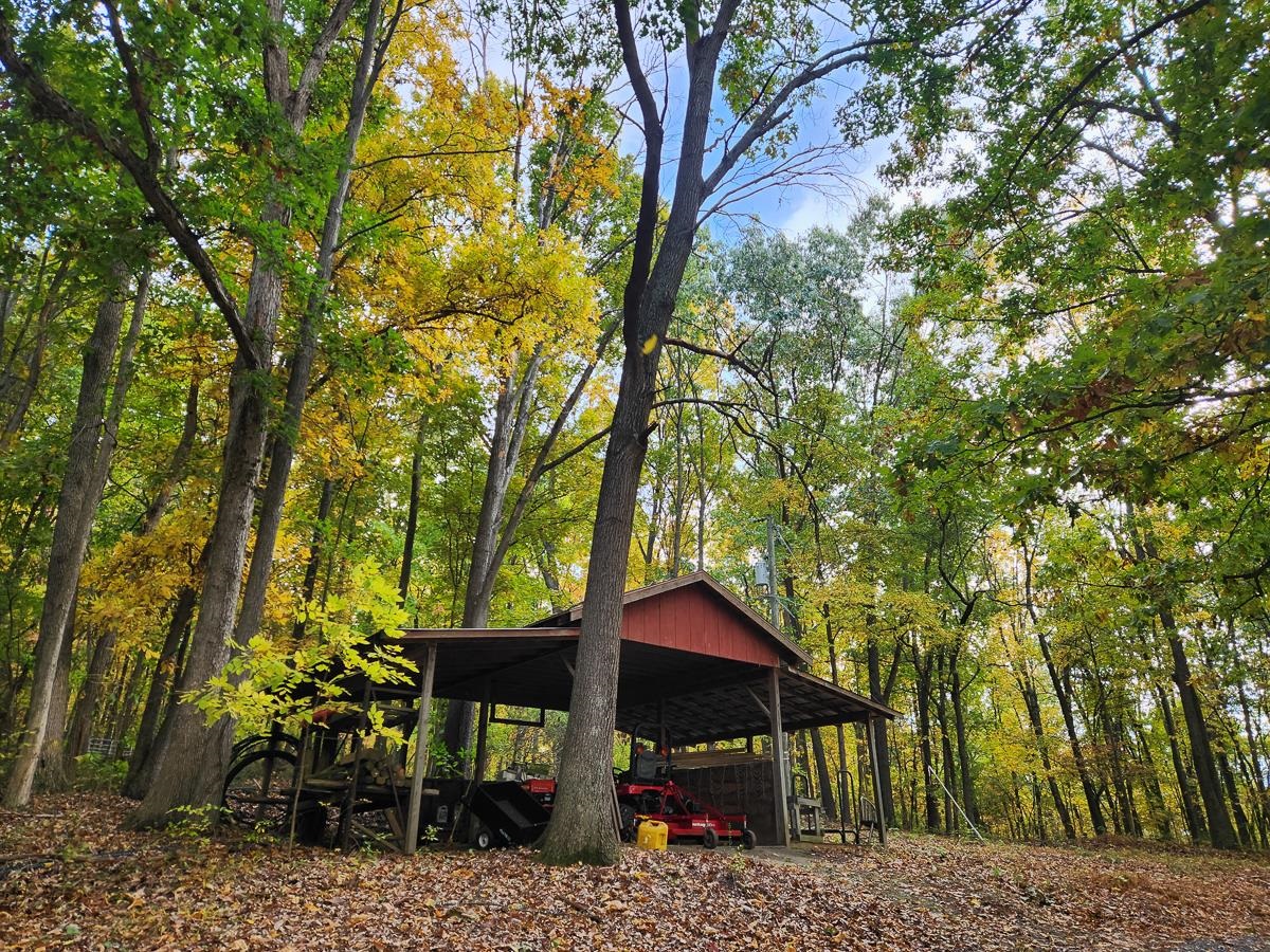 Rustic shelter amidst autumn hues.