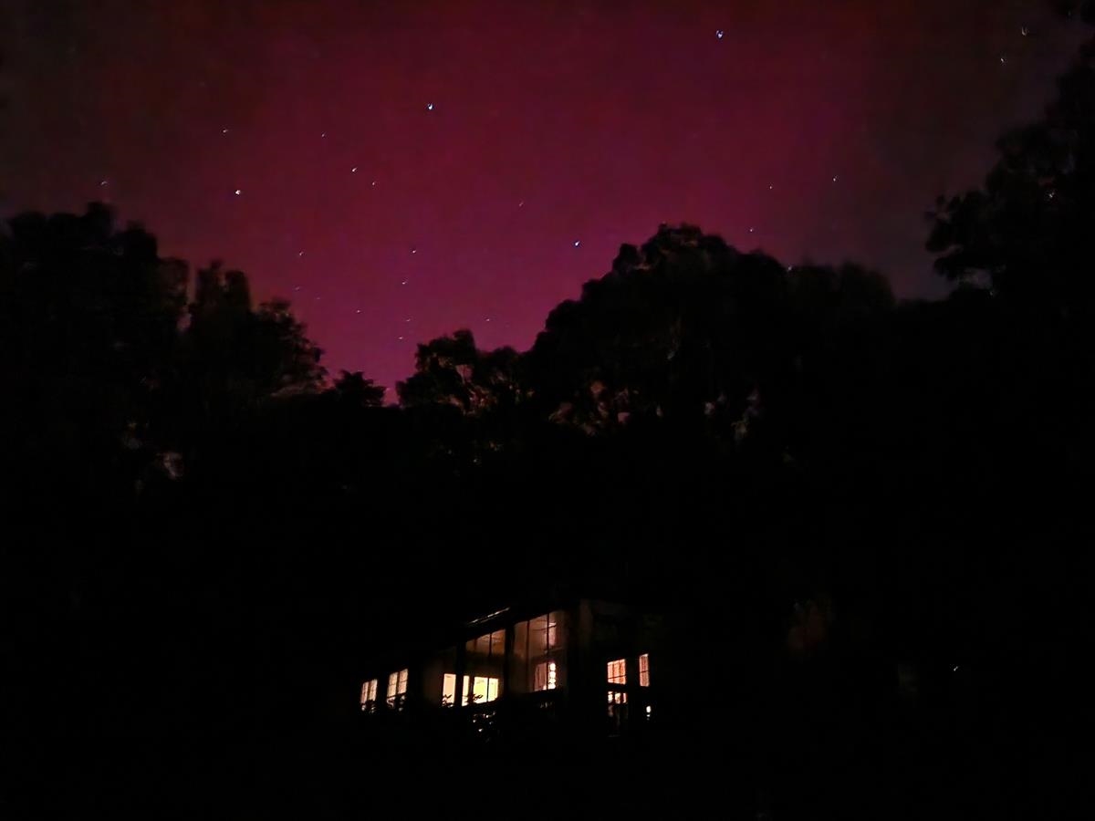 Whispers of night under starlit skies.
