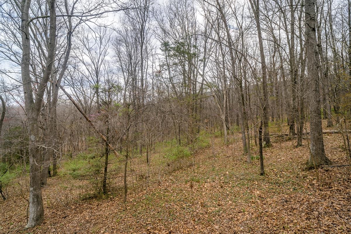 Serene woodland retreat awaits exploration.