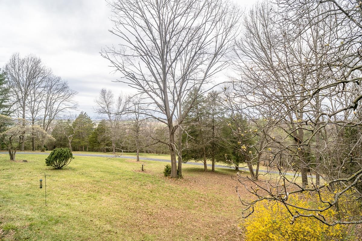 Serene landscape with seasonal trees.