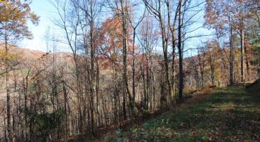 0 OVERLOOK MOUNTAIN RD, ELKTON, Virginia 22827, ,Land,0 OVERLOOK MOUNTAIN RD,VAPA2006242 MLS # VAPA2006242