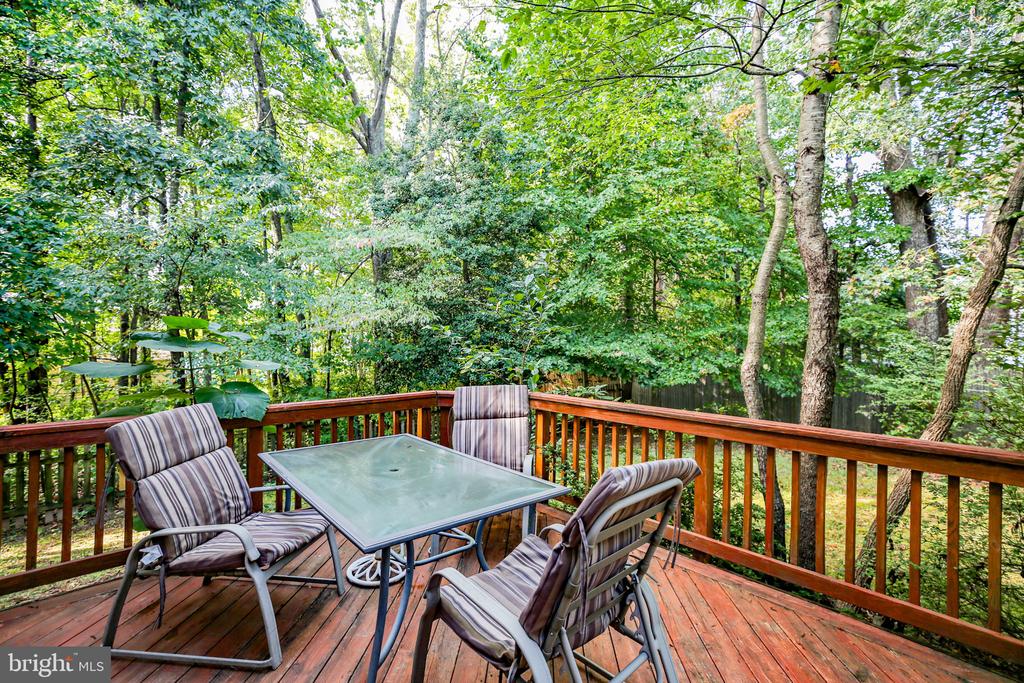 11710 GERANIUM ST, FREDERICKSBURG, Virginia 22407, 5 Bedrooms Bedrooms, ,2 BathroomsBathrooms,Residential,11710 GERANIUM ST,VASP2040032 MLS # VASP2040032