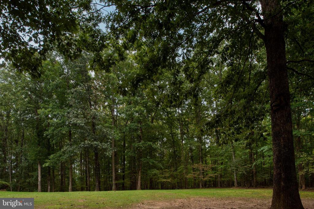 32236 DEEP MEADOW LN, LOCUST GROVE, Virginia 22508, 5 Bedrooms Bedrooms, ,3 BathroomsBathrooms,Residential,32236 DEEP MEADOW LN,VAOR2013628 MLS # VAOR2013628