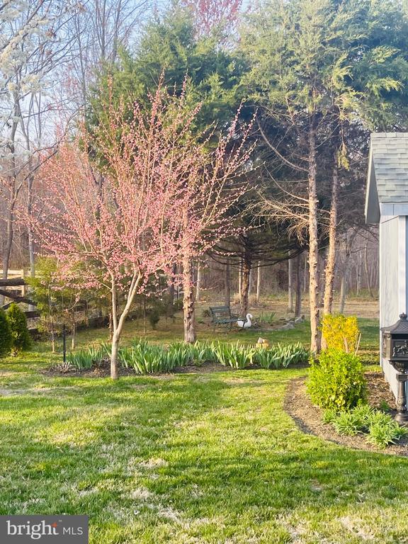 14220 BELLE AVENUE, CULPEPER, Virginia 22701, 3 Bedrooms Bedrooms, ,3 BathroomsBathrooms,Residential,14220 BELLE AVENUE,VACU2013126 MLS # VACU2013126