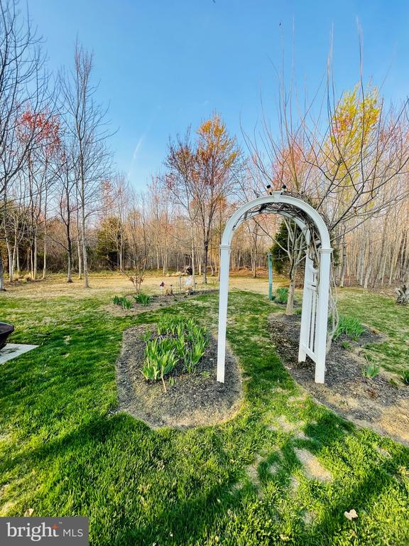 14220 BELLE AVENUE, CULPEPER, Virginia 22701, 3 Bedrooms Bedrooms, ,3 BathroomsBathrooms,Residential,14220 BELLE AVENUE,VACU2013126 MLS # VACU2013126