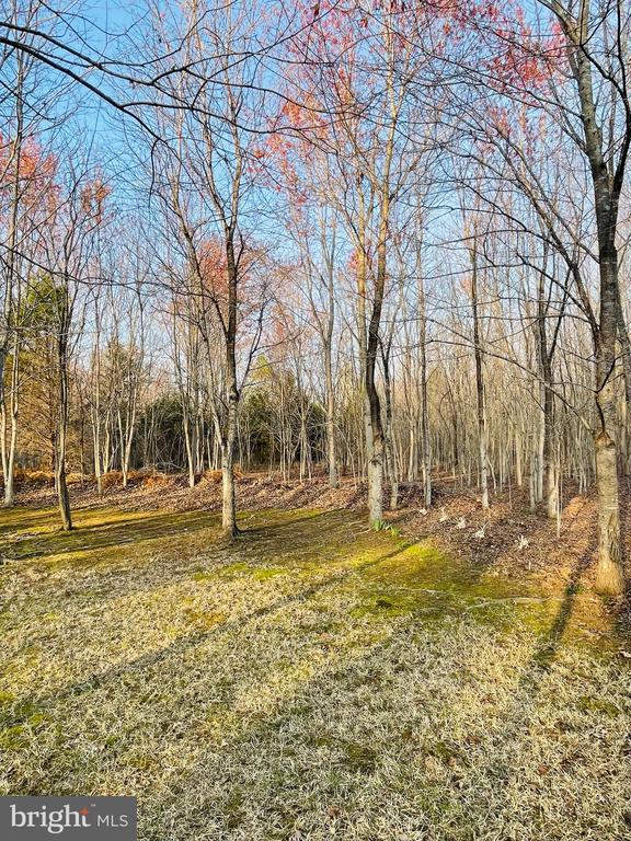 14220 BELLE AVENUE, CULPEPER, Virginia 22701, 3 Bedrooms Bedrooms, ,3 BathroomsBathrooms,Residential,14220 BELLE AVENUE,VACU2013126 MLS # VACU2013126