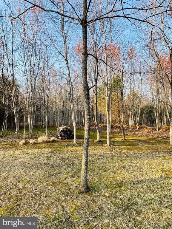 14220 BELLE AVENUE, CULPEPER, Virginia 22701, 3 Bedrooms Bedrooms, ,3 BathroomsBathrooms,Residential,14220 BELLE AVENUE,VACU2013126 MLS # VACU2013126