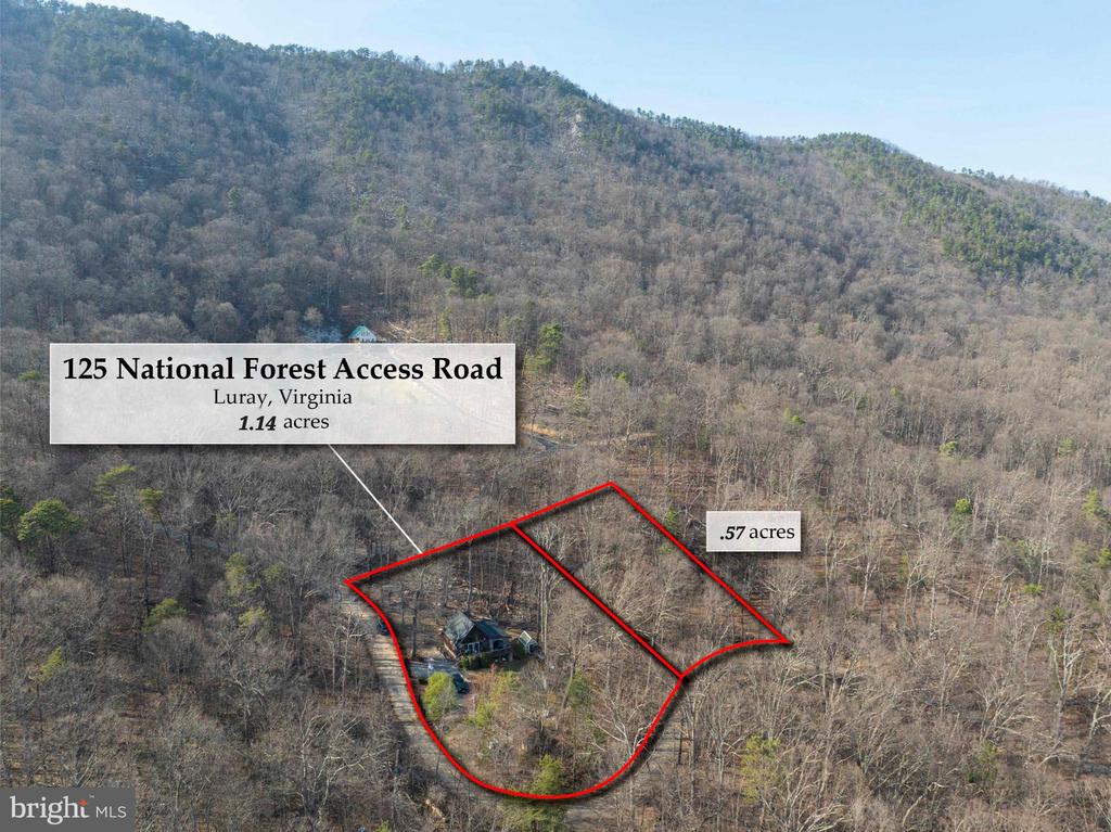125 NATIONAL FOREST ACCESS RD, LURAY, Virginia 22835, 1 Bedroom Bedrooms, ,1 BathroomBathrooms,Residential,125 NATIONAL FOREST ACCESS RD,VAPA2005634 MLS # VAPA2005634 125 NATIONAL FOREST ACCESS RD, LURAY, Virginia 22835, 1 Bedroom Bedrooms, ,1 BathroomBathrooms,Residential,125 NATIONAL FOREST ACCESS RD,VAPA2005634 MLS # VAPA2005634