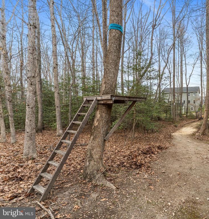 8600 RAWLINGS CT, SPOTSYLVANIA, Virginia 22551, 5 Bedrooms Bedrooms, ,4 BathroomsBathrooms,Residential,8600 RAWLINGS CT,VASP2040336 MLS # VASP2040336