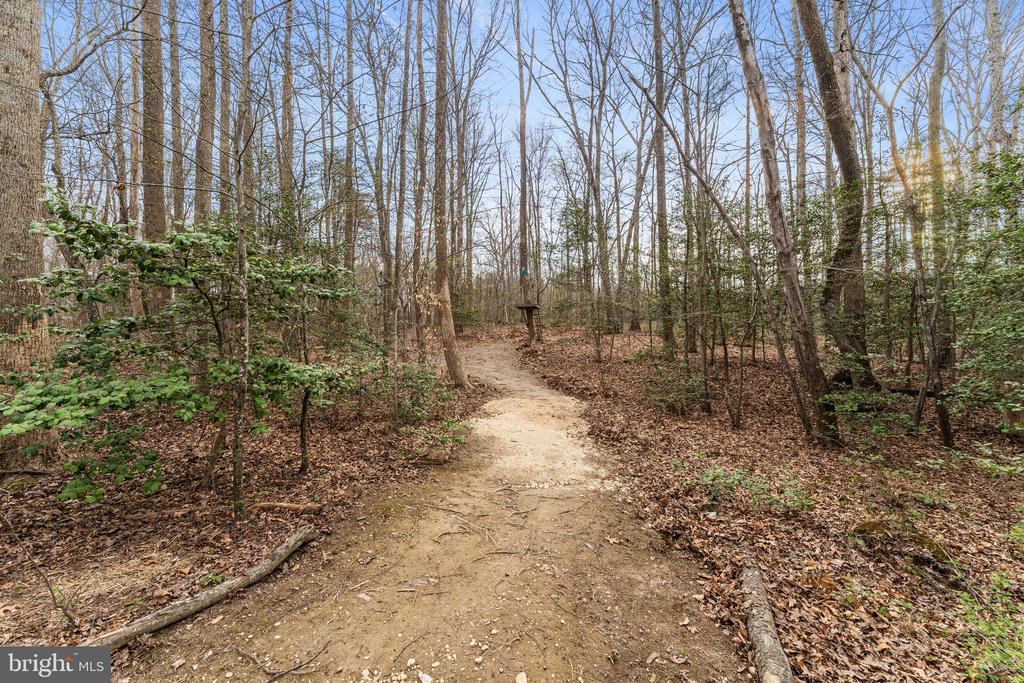 8600 RAWLINGS CT, SPOTSYLVANIA, Virginia 22551, 5 Bedrooms Bedrooms, ,4 BathroomsBathrooms,Residential,8600 RAWLINGS CT,VASP2040336 MLS # VASP2040336