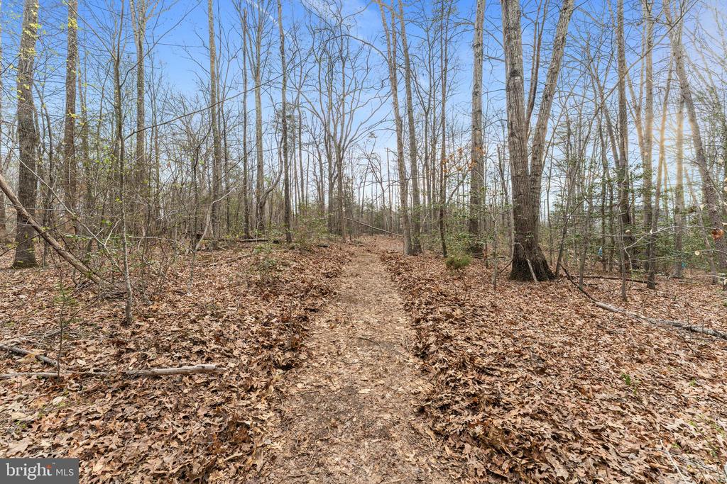 8600 RAWLINGS CT, SPOTSYLVANIA, Virginia 22551, 5 Bedrooms Bedrooms, ,4 BathroomsBathrooms,Residential,8600 RAWLINGS CT,VASP2040336 MLS # VASP2040336