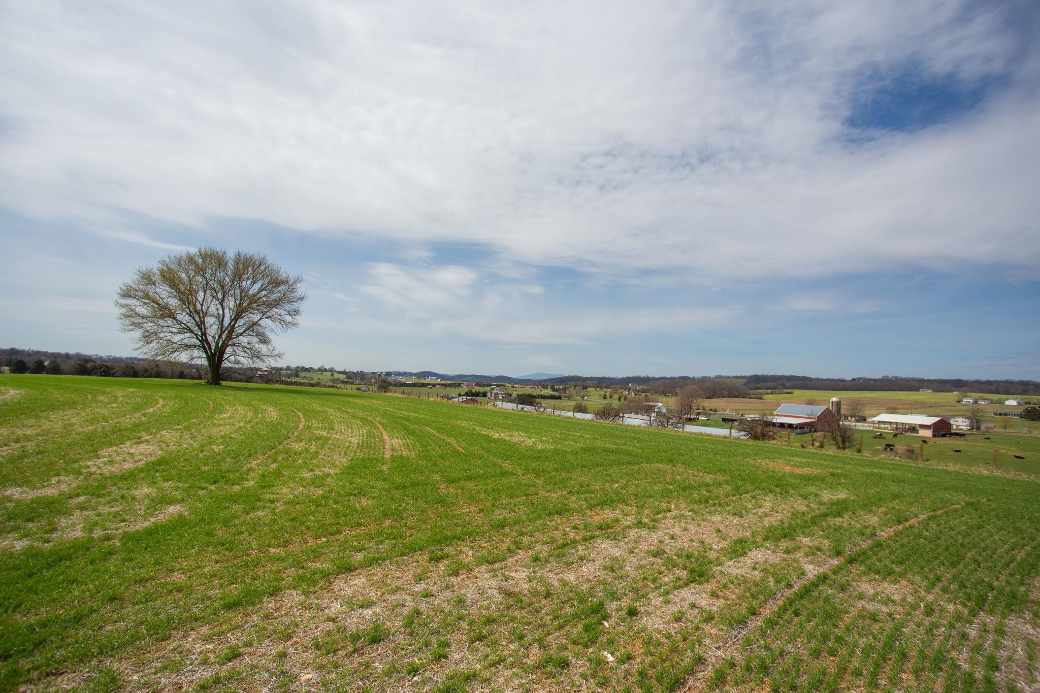 5260 E TIMBER RIDGE RD, MOUNT CRAWFORD, Virginia 22841, 3 Bedrooms Bedrooms, ,2 BathroomsBathrooms,Residential,5260 E TIMBER RIDGE RD,675023 MLS # 675023