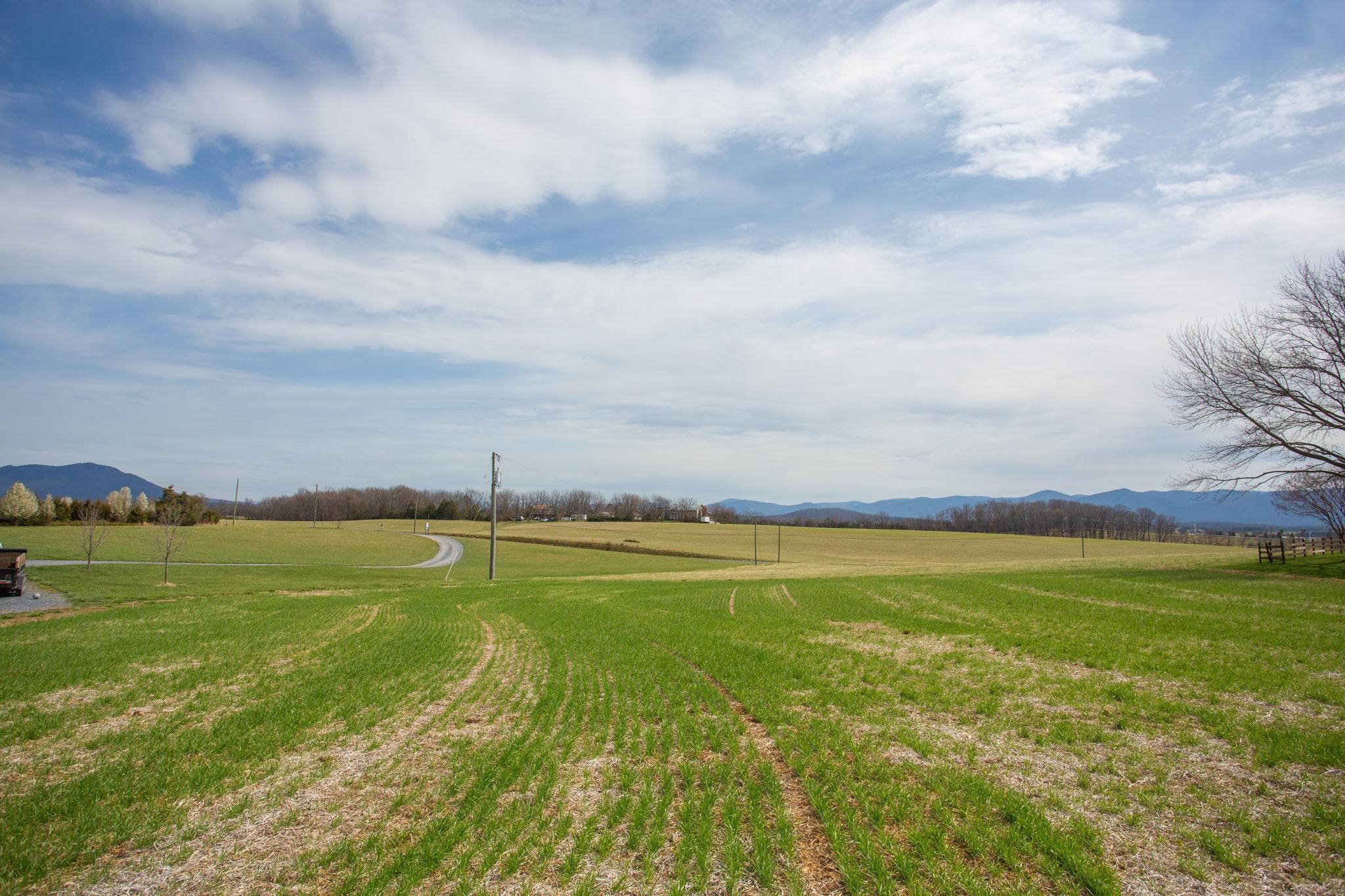 5260 E TIMBER RIDGE RD, MOUNT CRAWFORD, Virginia 22841, 3 Bedrooms Bedrooms, ,2 BathroomsBathrooms,Residential,5260 E TIMBER RIDGE RD,675023 MLS # 675023