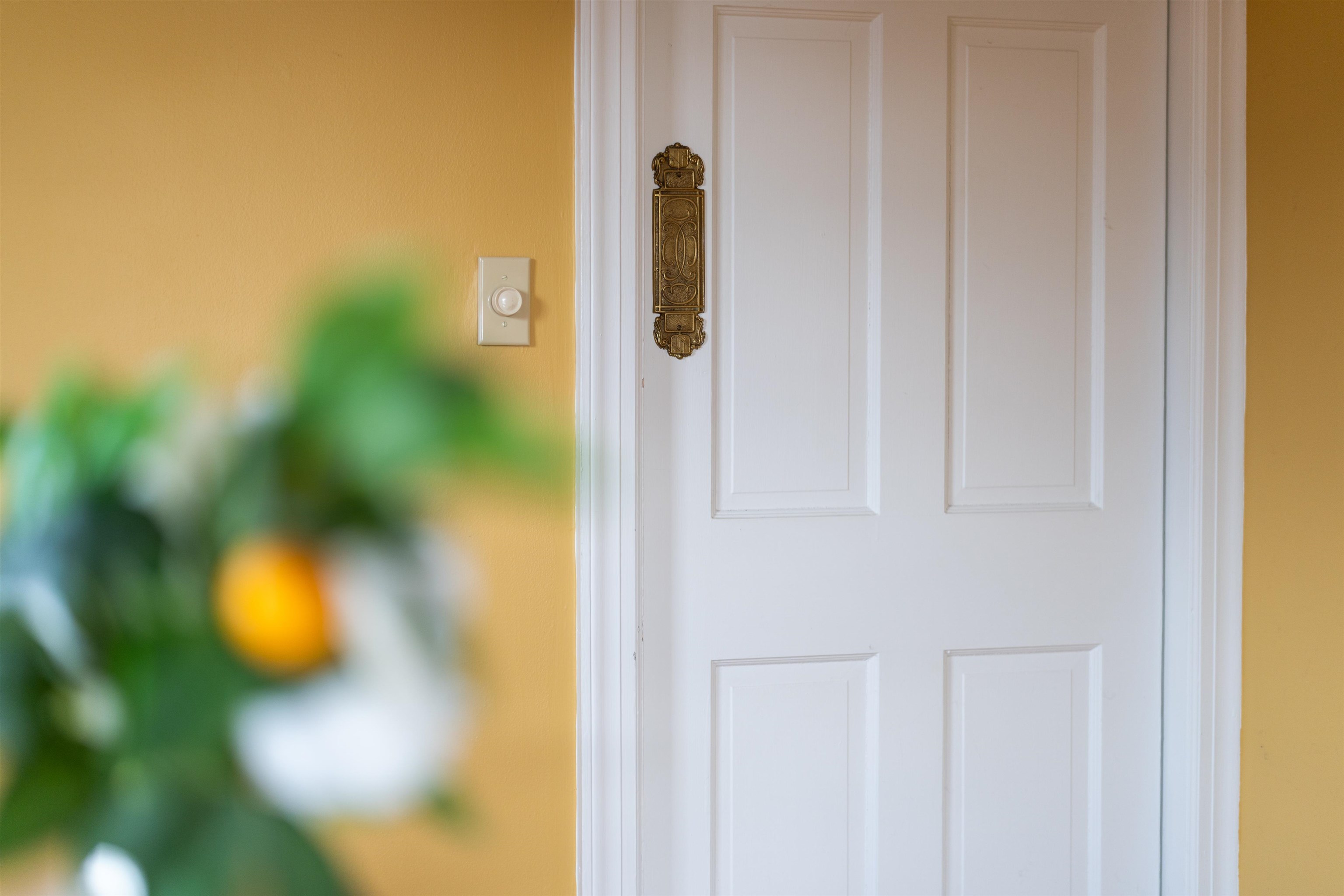 1000 SELMA BLVD, STAUNTON, Virginia 24401, 3 Bedrooms Bedrooms, ,1 BathroomBathrooms,Residential,1000 SELMA BLVD,675027 MLS # 675027 1000 SELMA BLVD, STAUNTON, Virginia 24401, 3 Bedrooms Bedrooms, ,1 BathroomBathrooms,Residential,1000 SELMA BLVD,675027 MLS # 675027