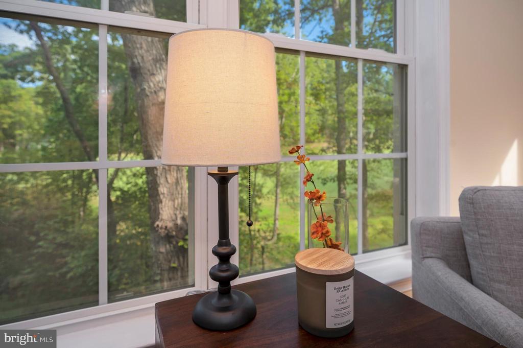 1115 EASTOVER PKWY, LOCUST GROVE, Virginia 22508, 4 Bedrooms Bedrooms, ,3 BathroomsBathrooms,Residential,1115 EASTOVER PKWY,VAOR2013534 MLS # VAOR2013534