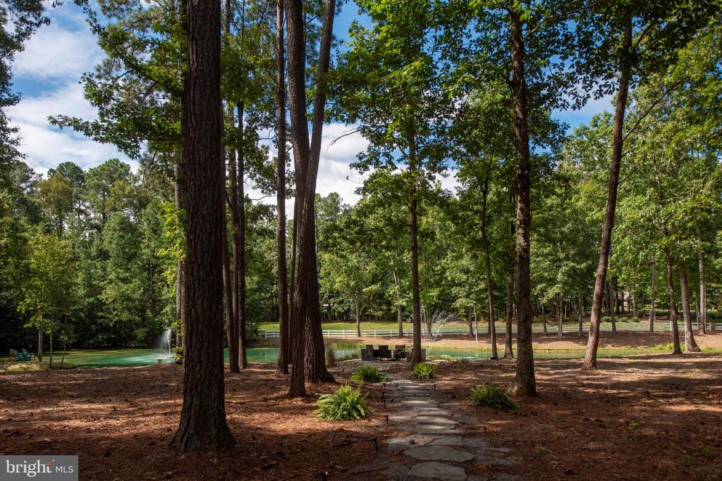 11204 HONOR BRIDGE FARM PLACE PL, SPOTSYLVANIA, Virginia 22551, 5 Bedrooms Bedrooms, ,3 BathroomsBathrooms,Residential,11204 HONOR BRIDGE FARM PLACE PL,VASP2039750 MLS # VASP2039750